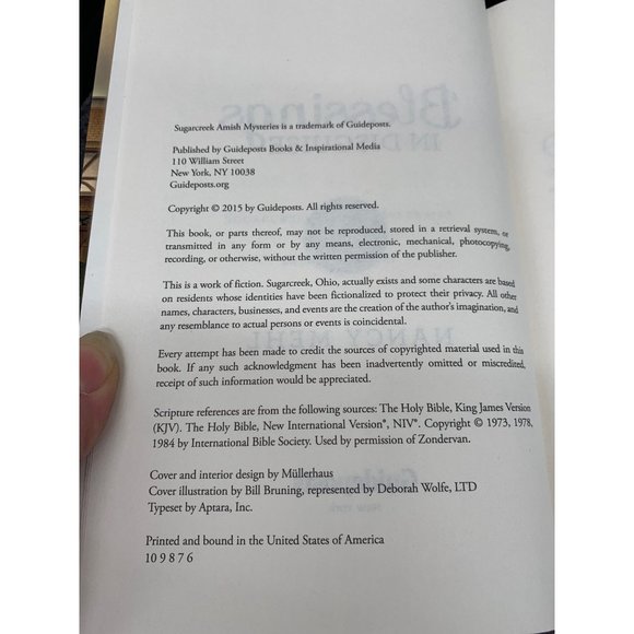 Blessing In Disguise by Nancy Mehl, Sugar Creek Amish Mysteries - Picture 7 of 7